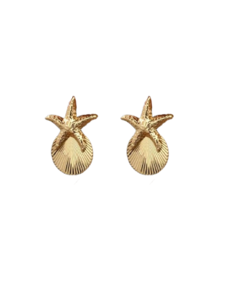 Aretes estrella